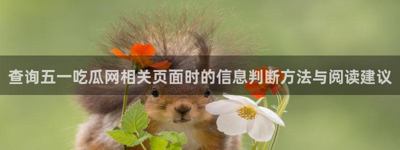 网络热点