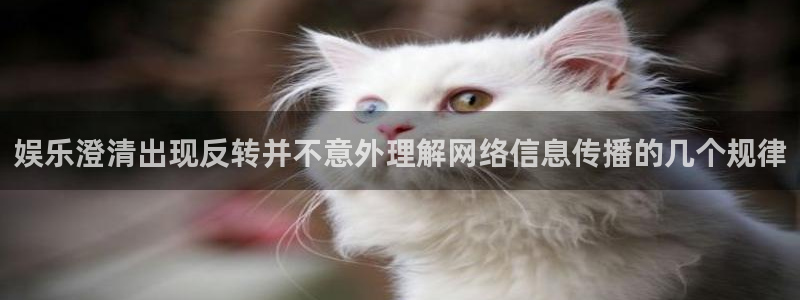网红吃瓜最新消息