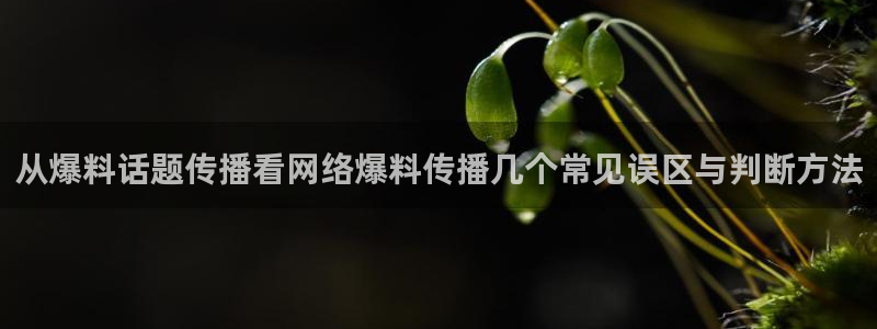 网络热点公开回应