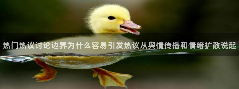 网红吃瓜公开回应