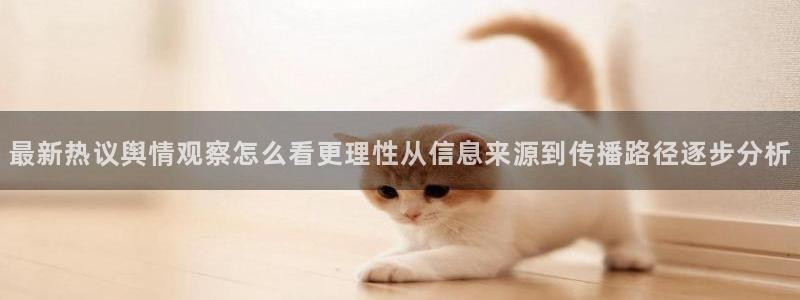热门吃瓜公开回应