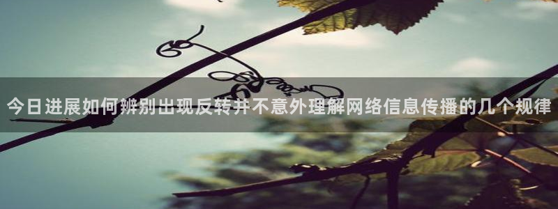 社会热点热点汇总