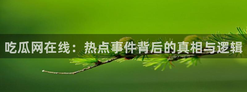 吃瓜真相最新消息