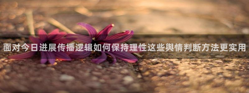 吃瓜真相